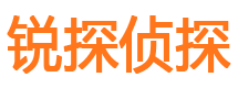 九龙外遇出轨调查取证